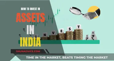 Asset Investment Guide for Indians: A Beginner's Overview