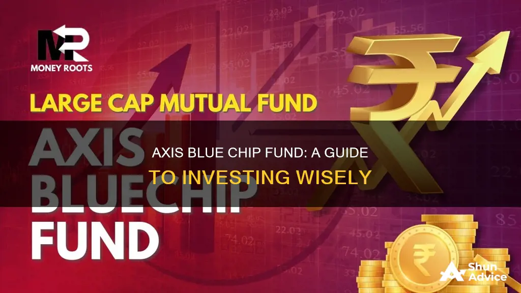 how to invest in axis blue chip fund