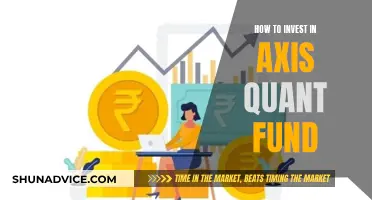 Axis Quant Fund: A Smart Investment Strategy