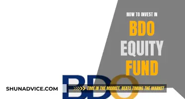 A Guide to Investing in BDO Equity Funds