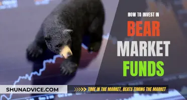 Bear Market Strategies: Investing in Funds for Long-Term Growth