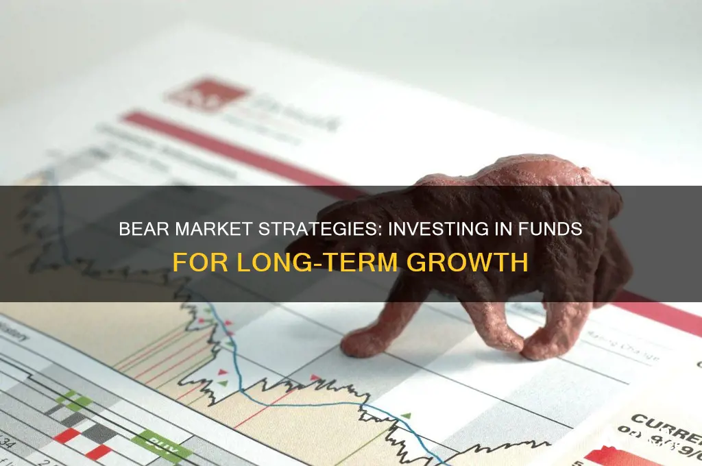 how to invest in bear market funds