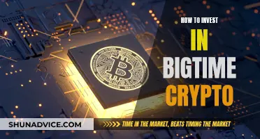 Big-Time Crypto: Strategies for Investing in Digital Gold