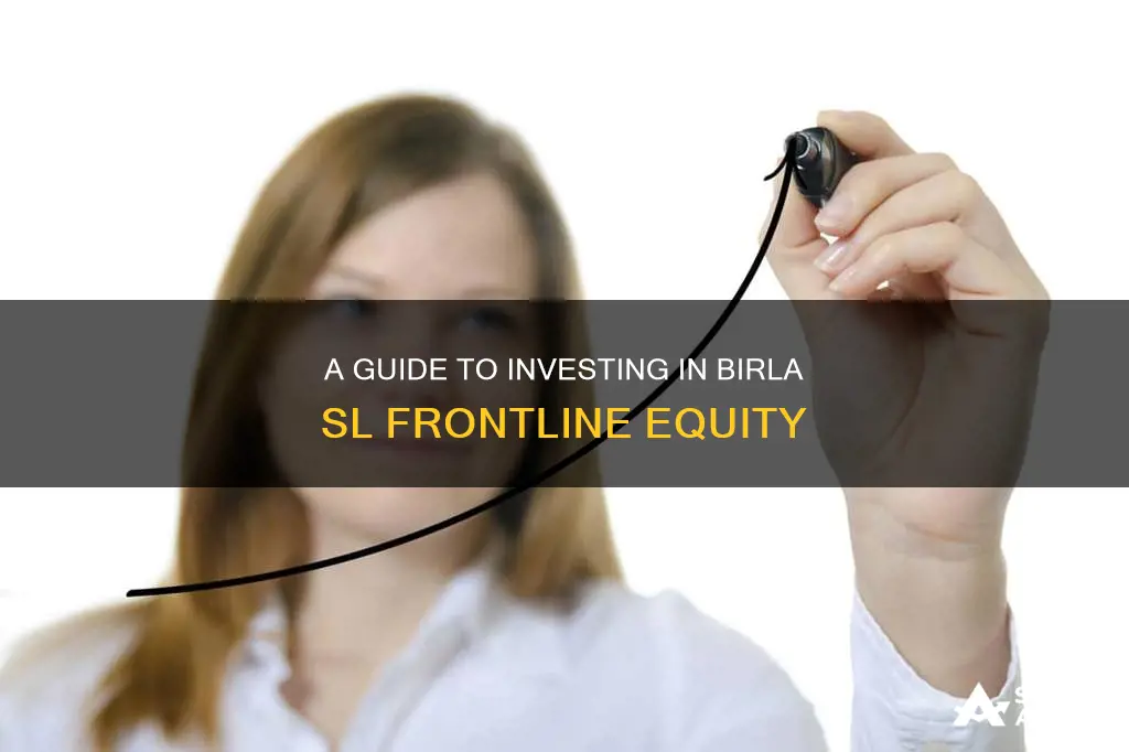 how to invest in birla sl frontline equity