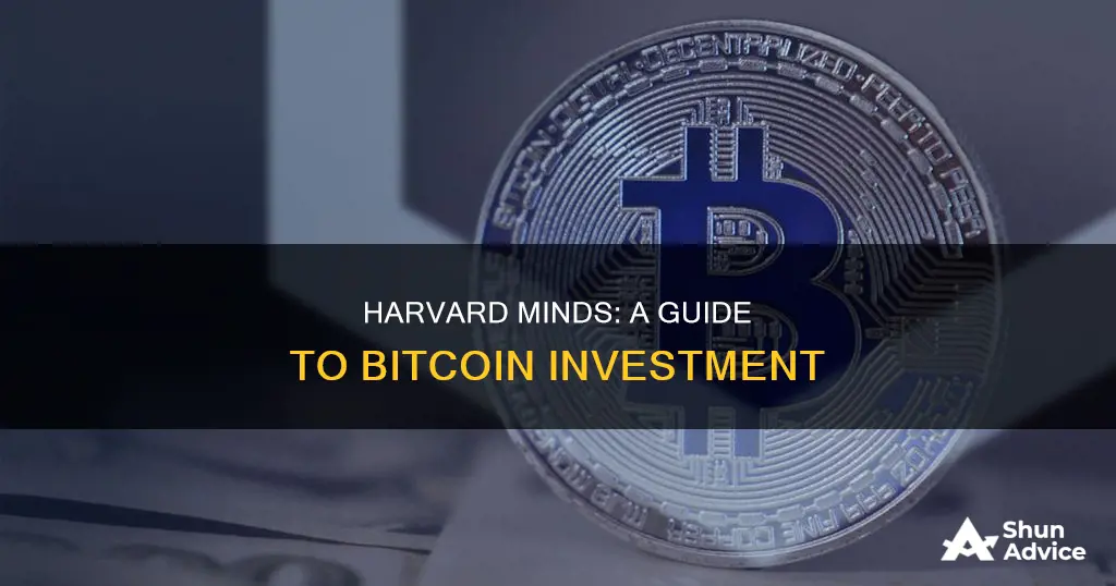 how to invest in bitcoin by two harvard minds