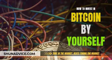 The Ultimate Guide to Solo Bitcoin Investing