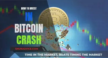 Strategizing for Bitcoin's Crash: A Guide to Investing