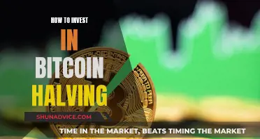 Strategizing Bitcoin Halving: A Guide to Investing Wisely