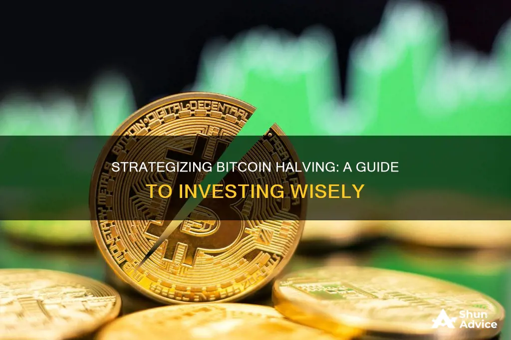 how to invest in bitcoin halving