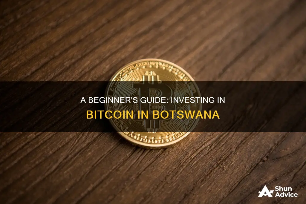 how to invest in bitcoin in botswana