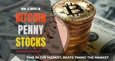 The Ultimate Guide to Bitcoin Penny Stock Investments