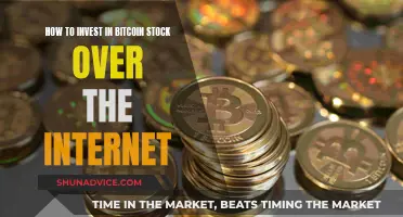 Online Bitcoin Stock: A Guide to Investing