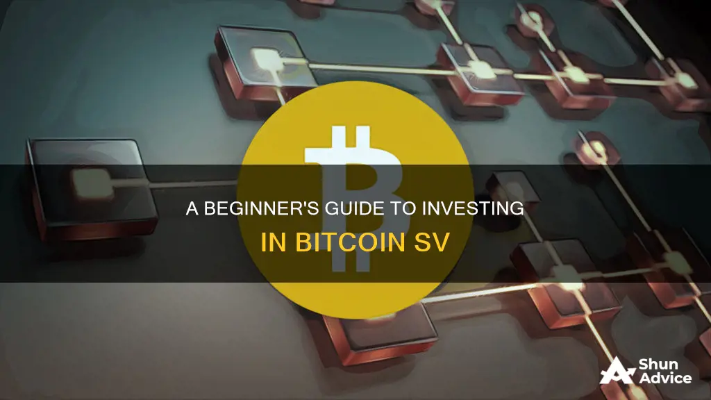 how to invest in bitcoin sv