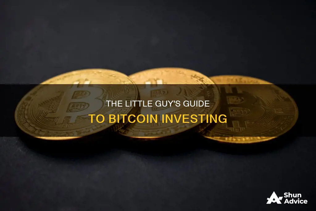 how to invest in bitcoin without thousands