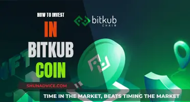 A Beginner's Guide to Investing in Bitkub Coin