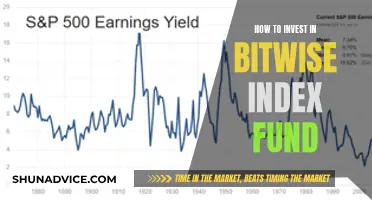 Invest Wisely: Bitwise Index Fund Strategies for Beginners