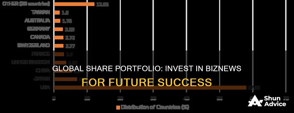 how to invest in biznews global share portfolio