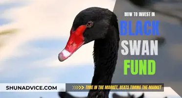 Black Swan Fund: A Guide to Investing in Unpredictable Markets