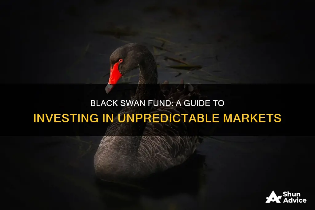 how to invest in black swan fund