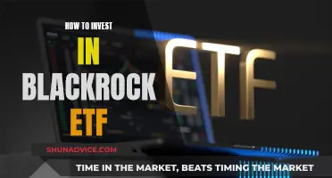 BlackRock ETF: A Guide to Investing in Their Funds