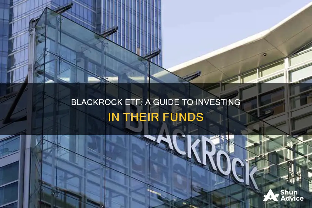 how to invest in blackrock etf