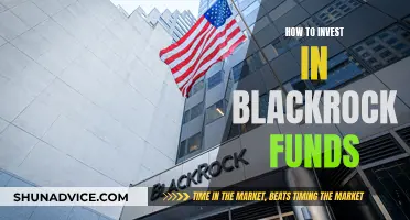 BlackRock Funds: A Guide to Investing in Their Success