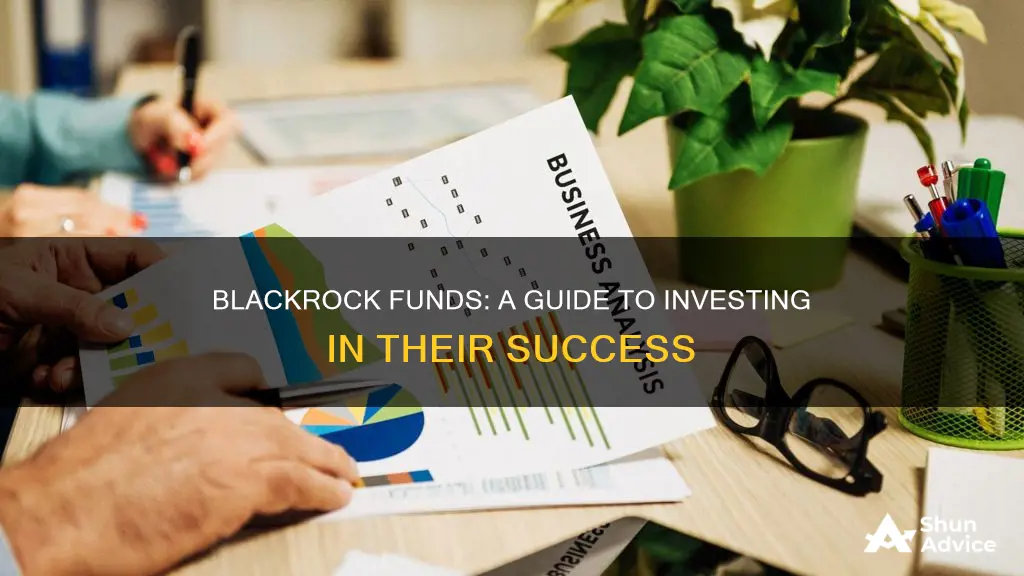 how to invest in blackrock funds