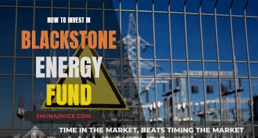 Blackstone Energy Fund: A Guide to Investing in Their Success