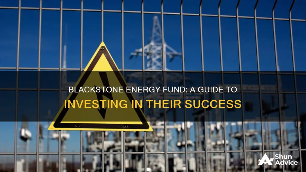 how to invest in blackstone energy fund