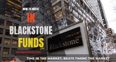 Blackstone Funds: A Guide to Investing in Their Success