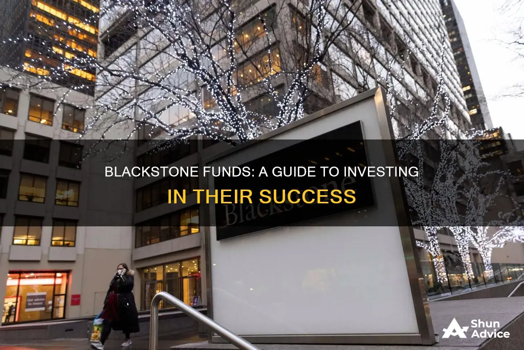 how to invest in blackstone funds