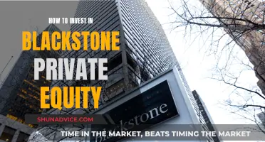 Blackstone Private Equity: A Guide to Investing Wisely