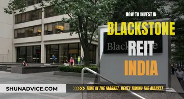 Blackstone REIT India: A Smart Investment Strategy