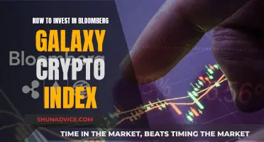 Galaxy Crypto Index: Bloomberg's Guide to Investing