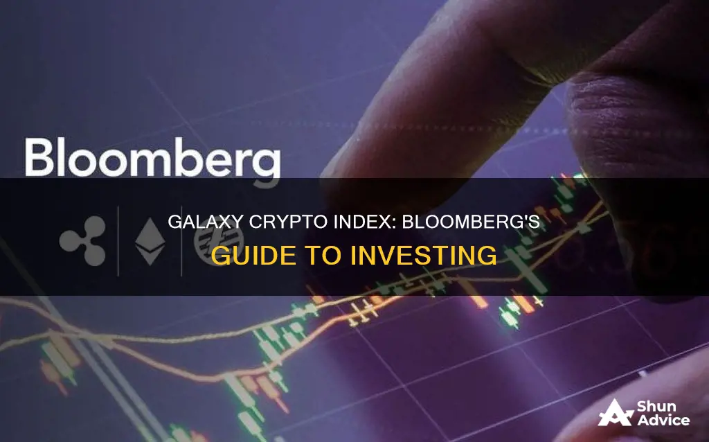 how to invest in bloomberg galaxy crypto index