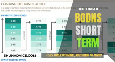 Unlocking Short-Term Profits: A Beginner's Guide to BDNS Investing