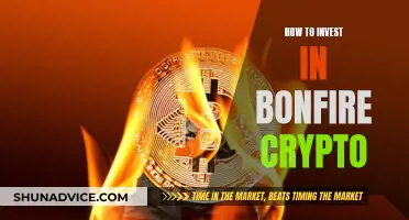 Bonfire Crypto: A Guide to Investing and Making Profits