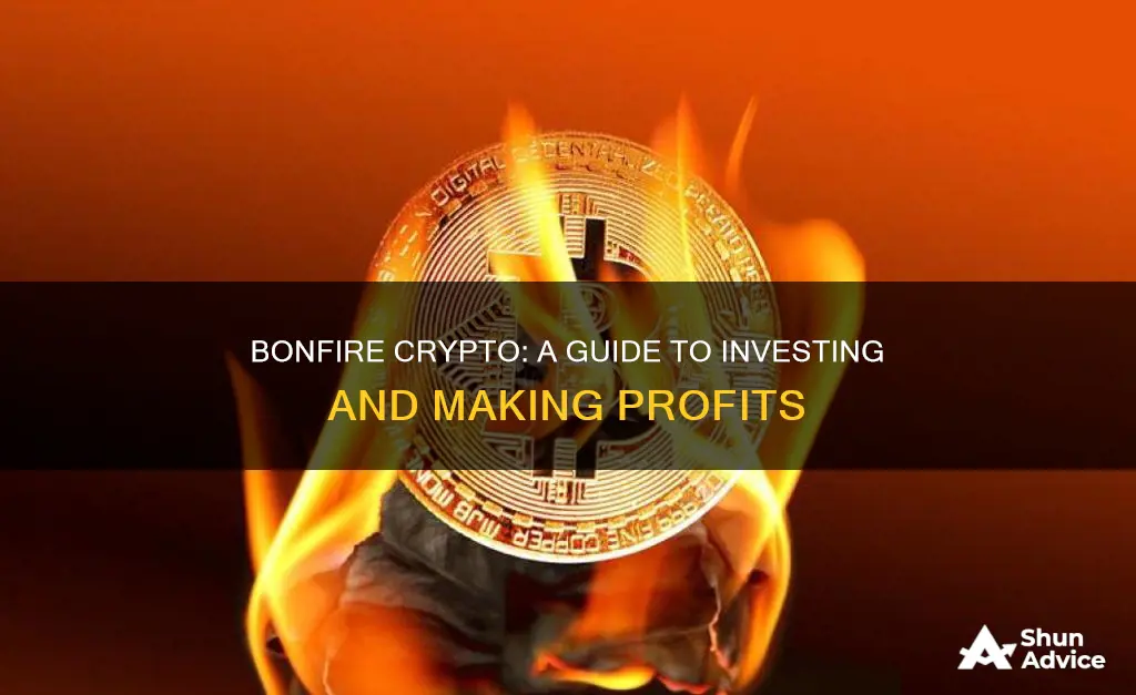 how to invest in bonfire crypto