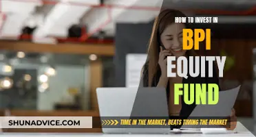 BPI Equity Fund: A Smart Investment Strategy