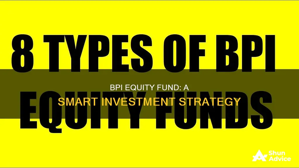 how to invest in bpi equity fund