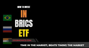 BRICS ETF: A Smart Investment Strategy for Global Diversification