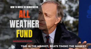 Bridgewater All-Weather Fund: A Guide to Investing