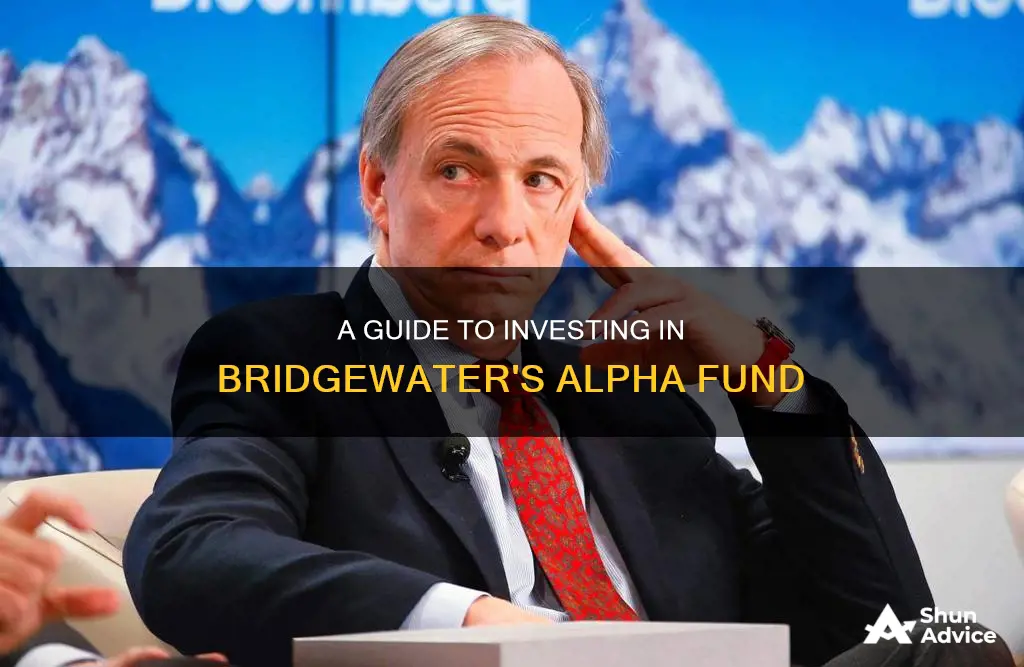 how to invest in bridgewater alpha fund