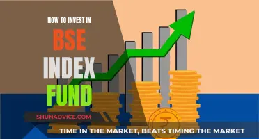 A Beginner's Guide to BSE Index Fund Investing