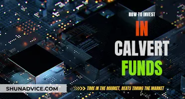 A Guide to Investing in Calvert Funds Wisely