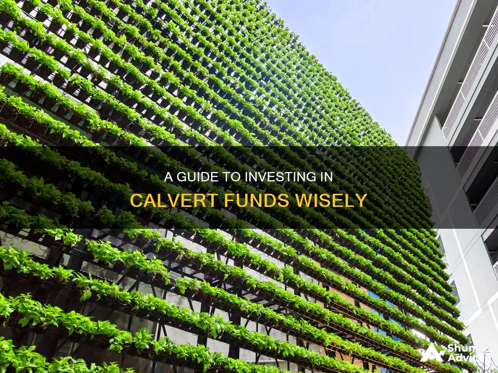 how to invest in calvert funds