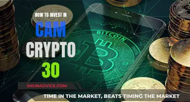 Smart Guide: Investing in CAM Crypto 30