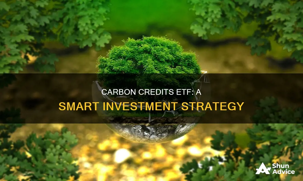 how to invest in carbon credits etf