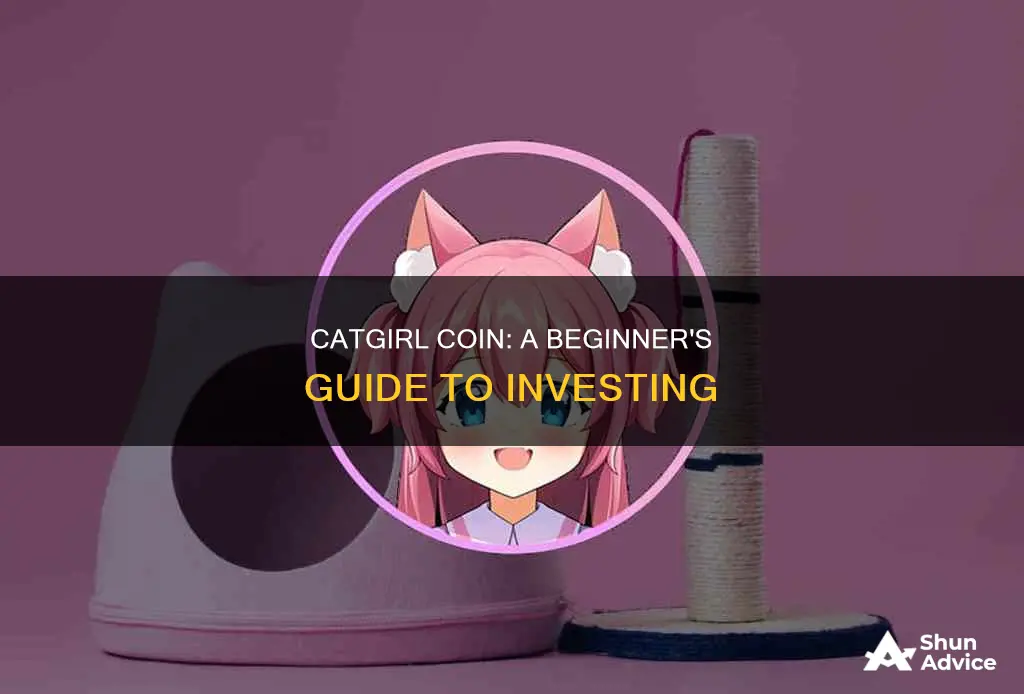 how to invest in catgirl coin