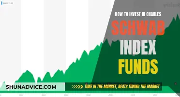 Schwab Index Funds: A Guide to Investing